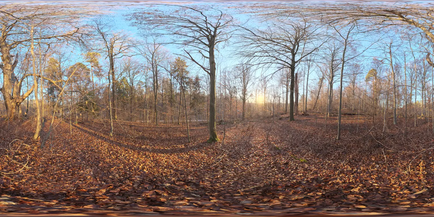 Autumn Forest 4