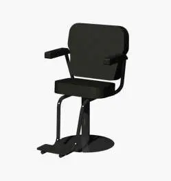 Salon Chair