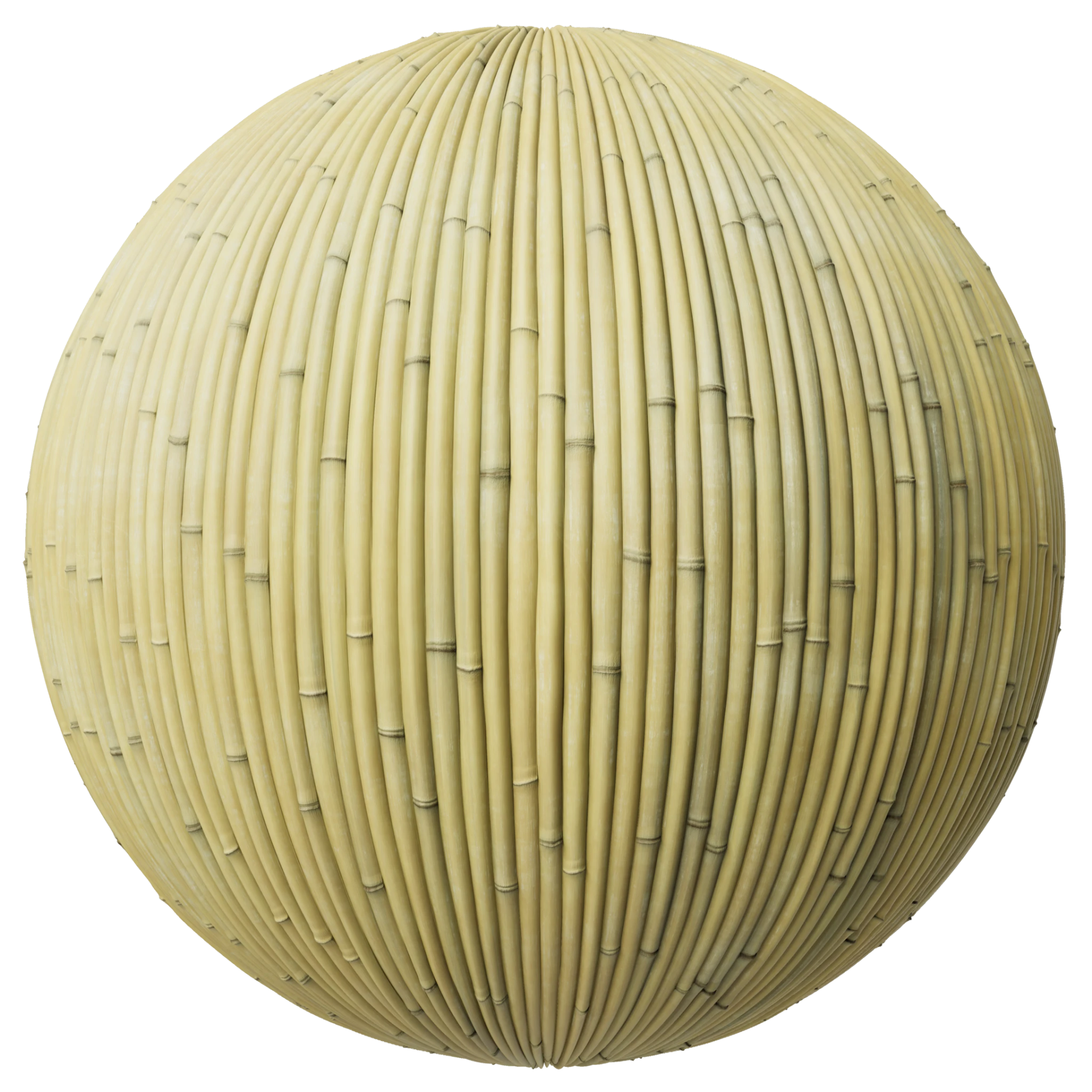 Bamboo 002 B