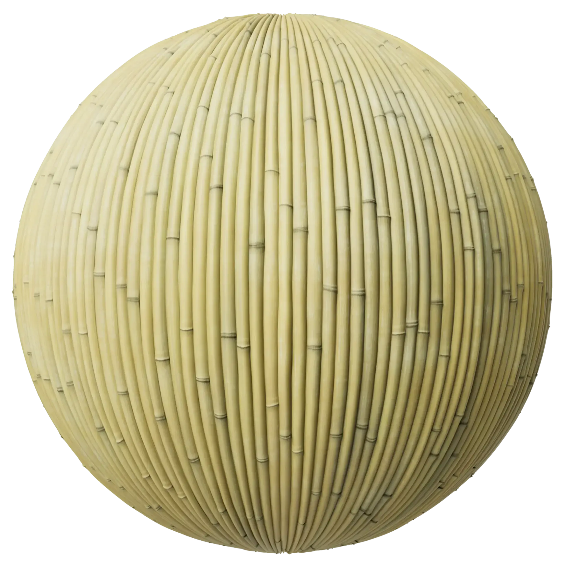 Bamboo 002 B