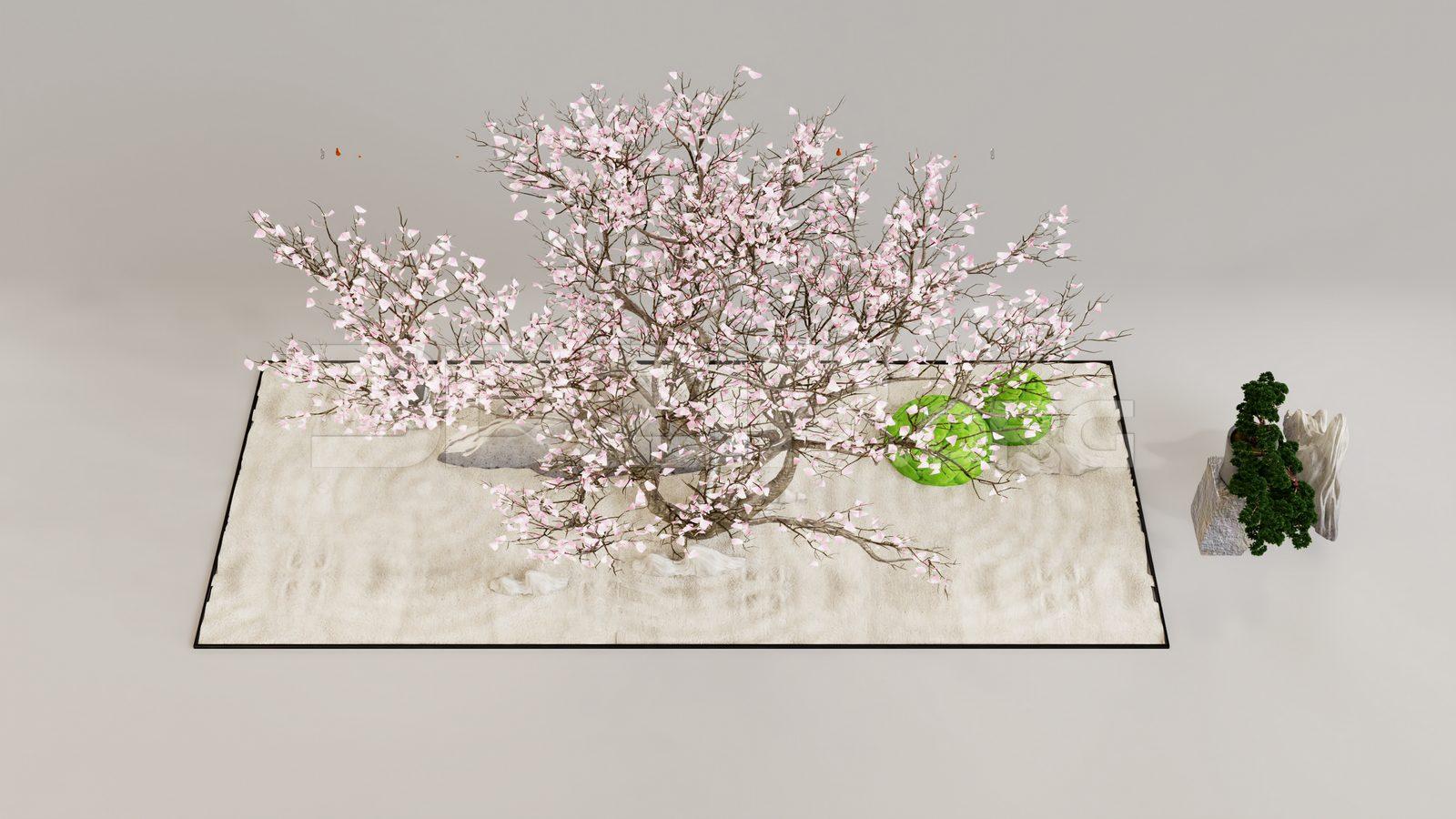 Indoor Decorative Plant Set
