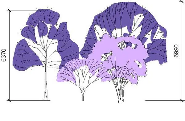 Trees 2d
