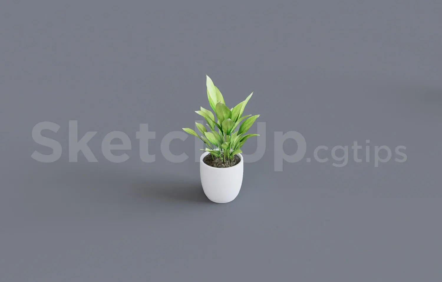 Plant — preview 1 (cgtips, CC0)