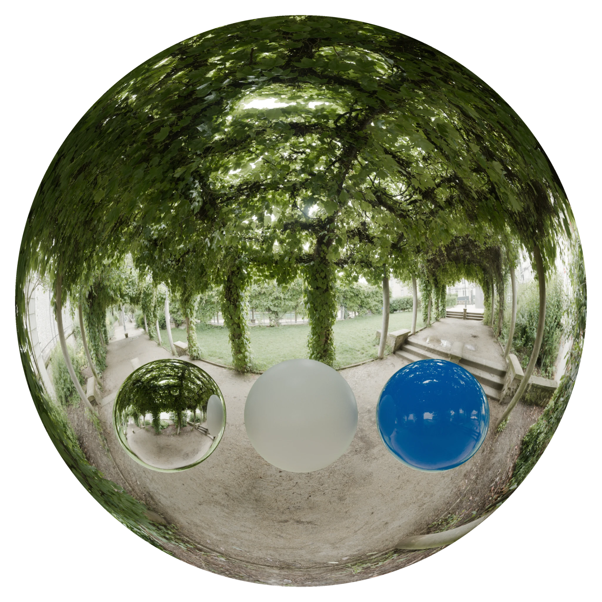 Day Environment HDRI 068