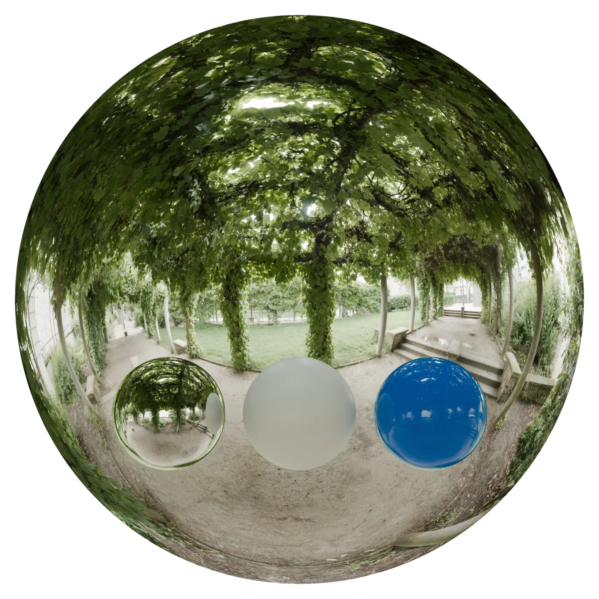 Day Environment HDRI 068