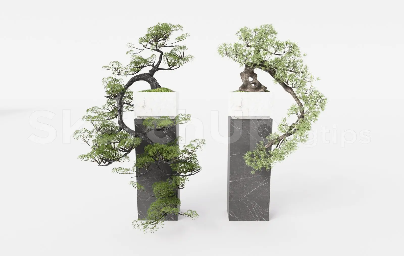 BonSai Tree — preview 1 (cgtips)