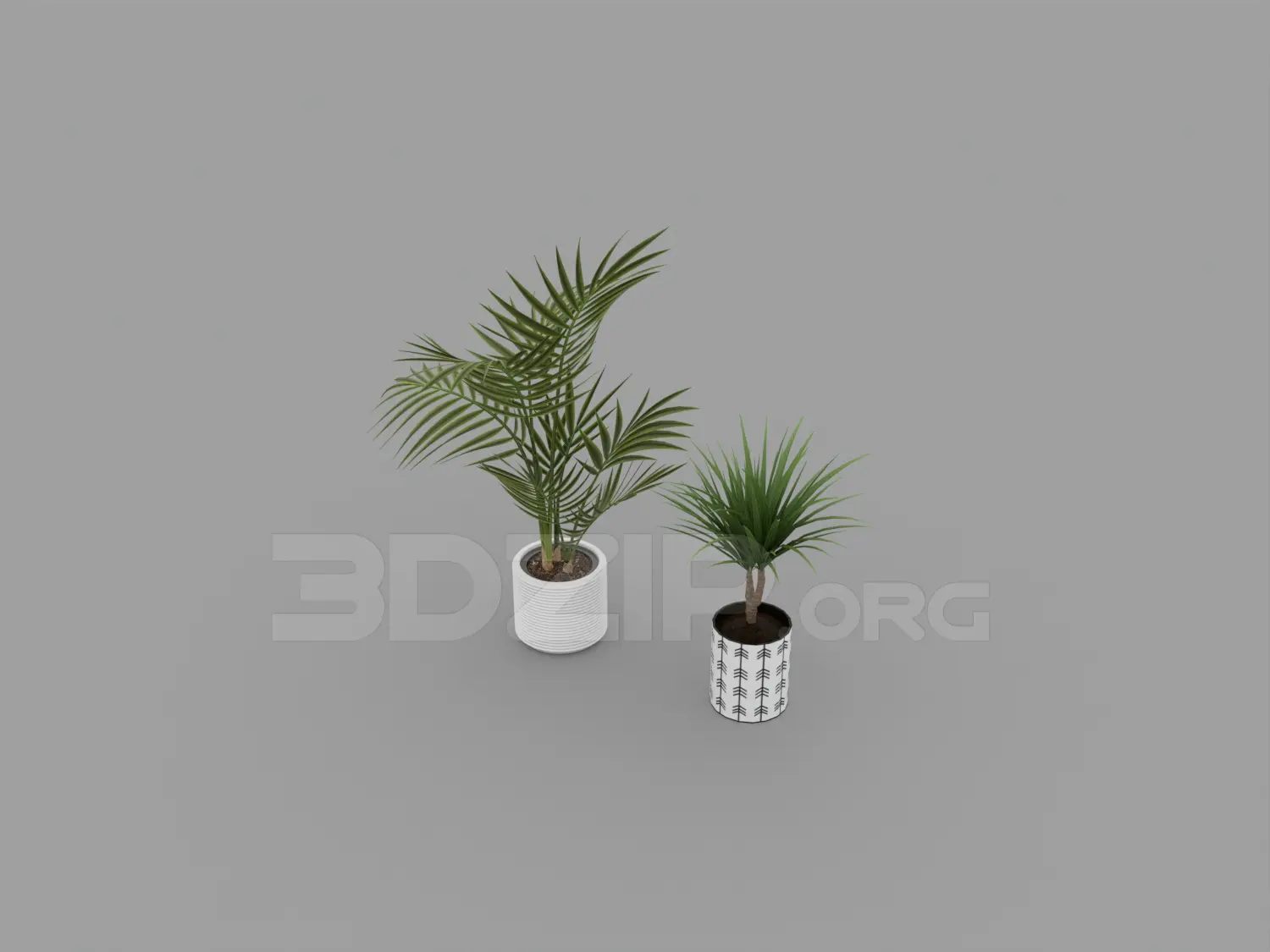 Plant