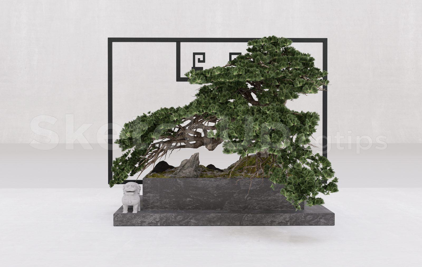 BonSai Tree