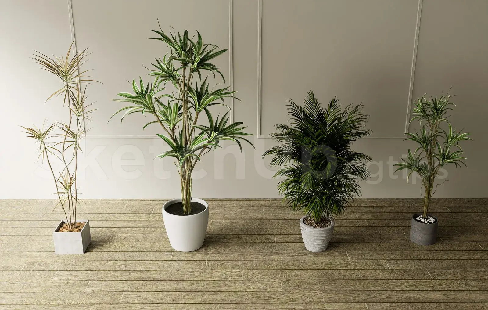 Plant