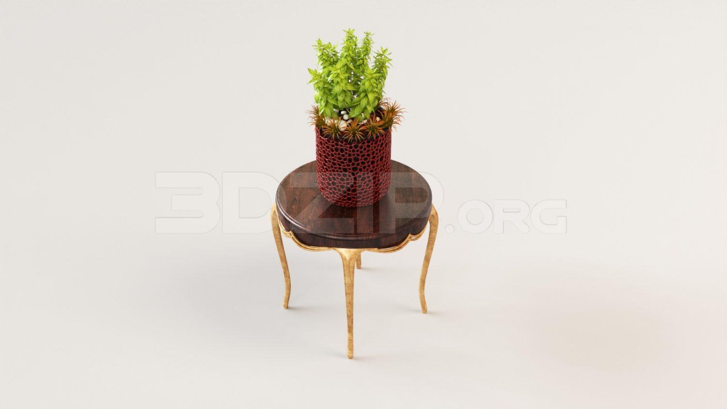 Plant