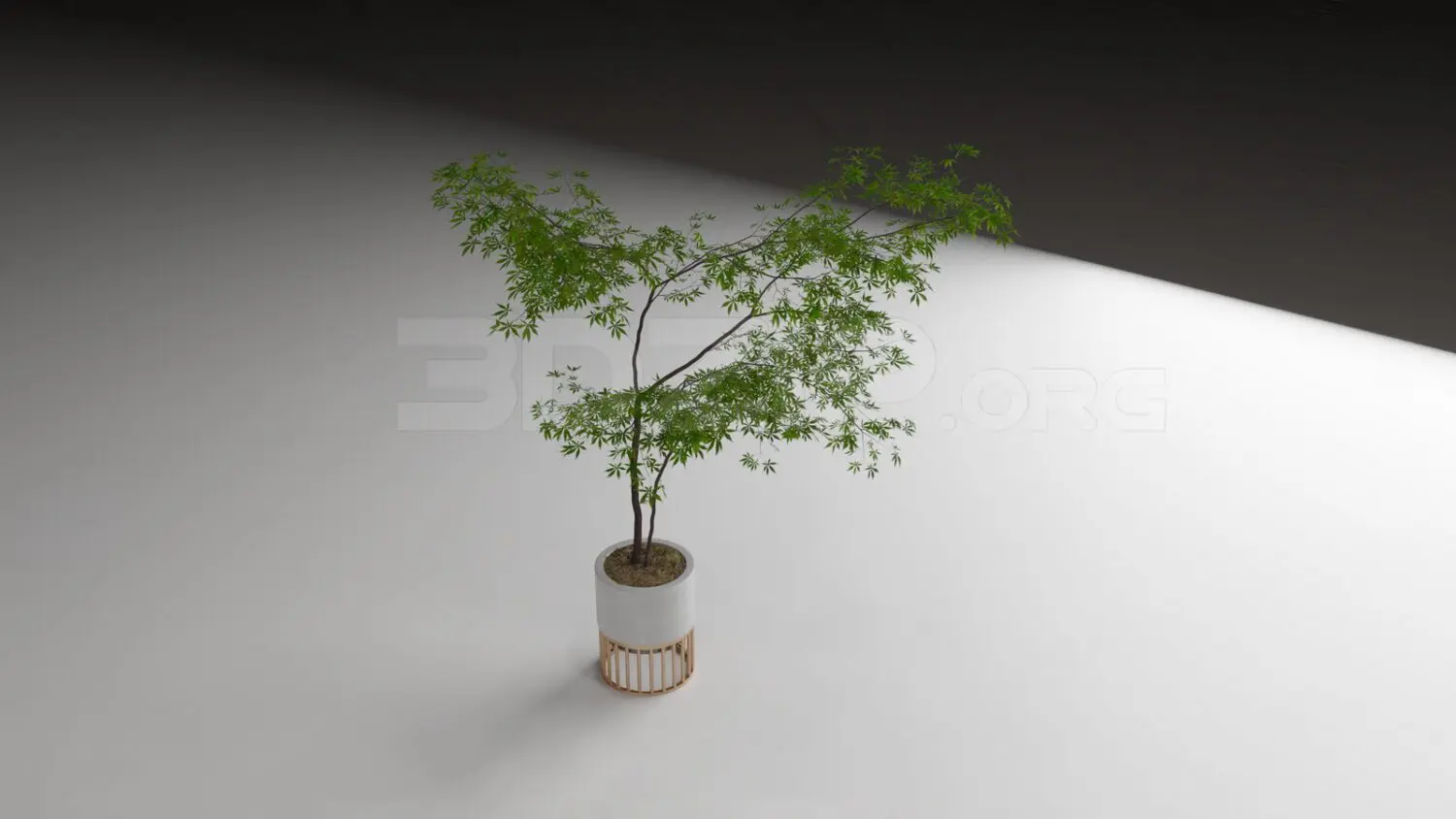 Plant — preview 1 (3dzip, CC0)