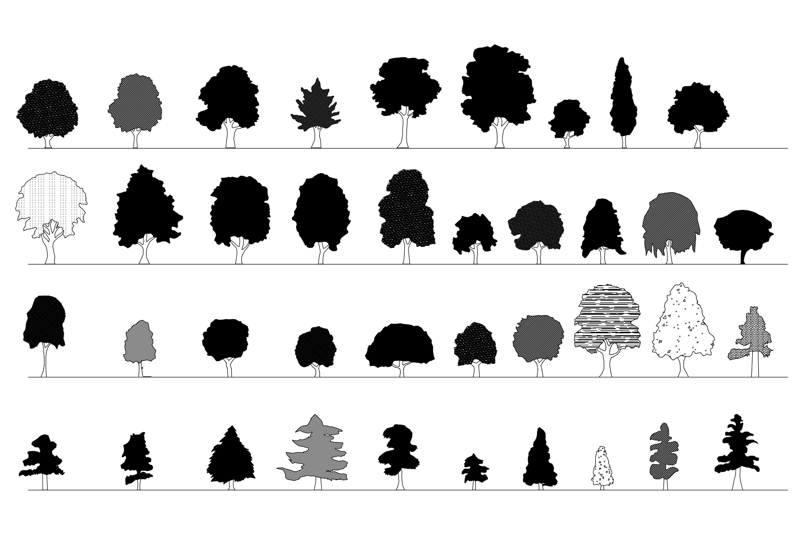 Trees elevation