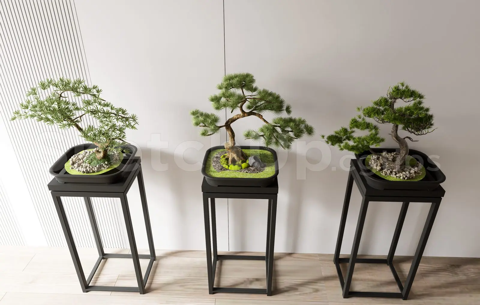 BonSai Tree