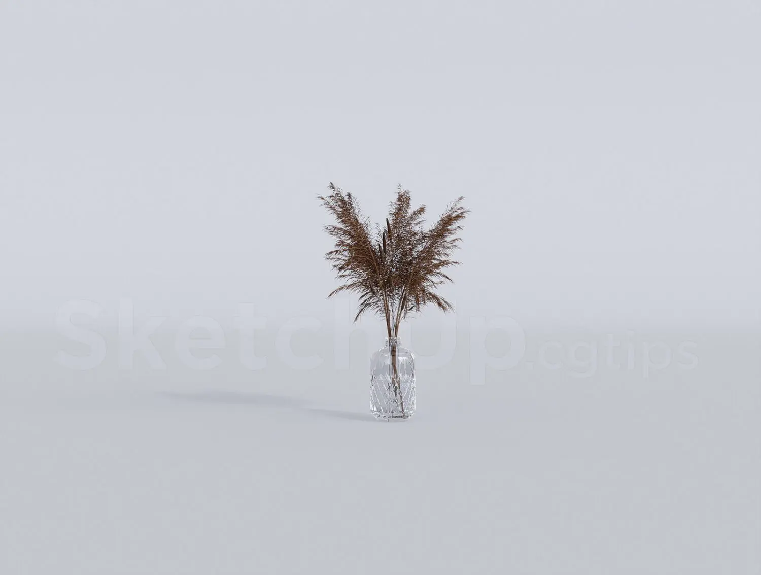 Pampas Grass — preview 1 (cgtips, CC0)