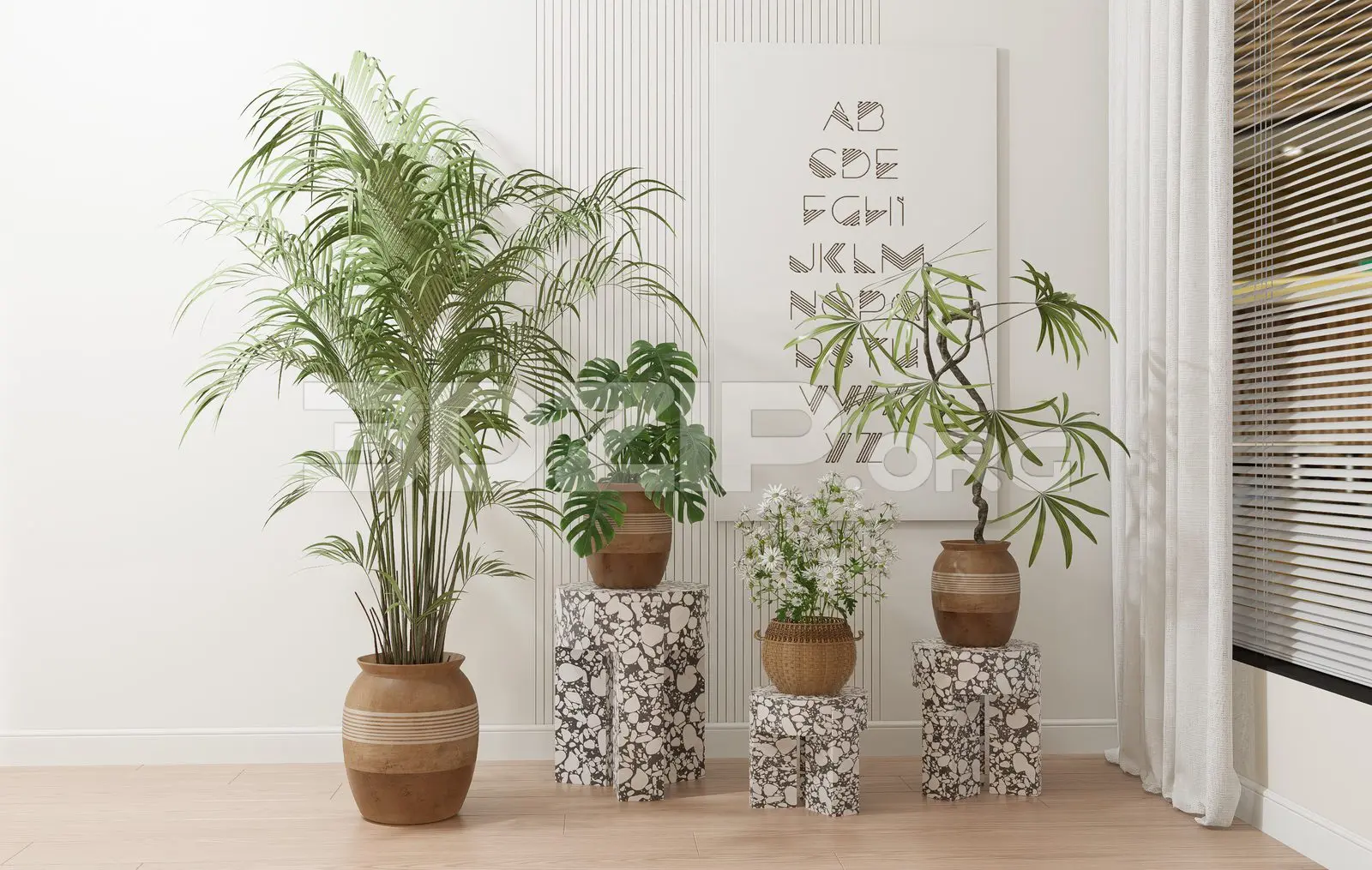 Plants