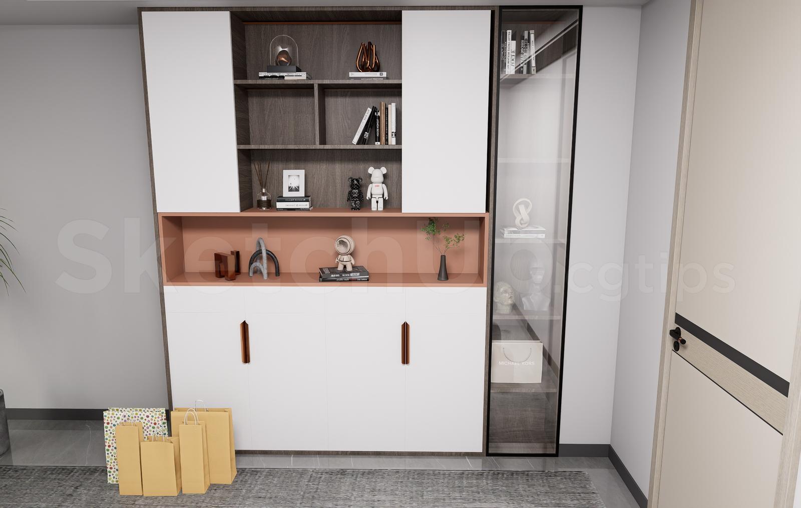 Modern Shoe Cabinet with Display Shelves