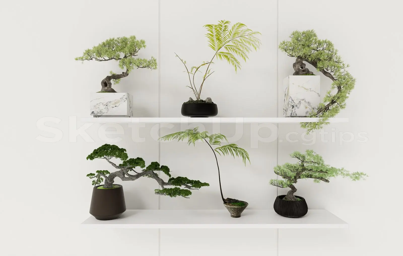 BonSai Tree