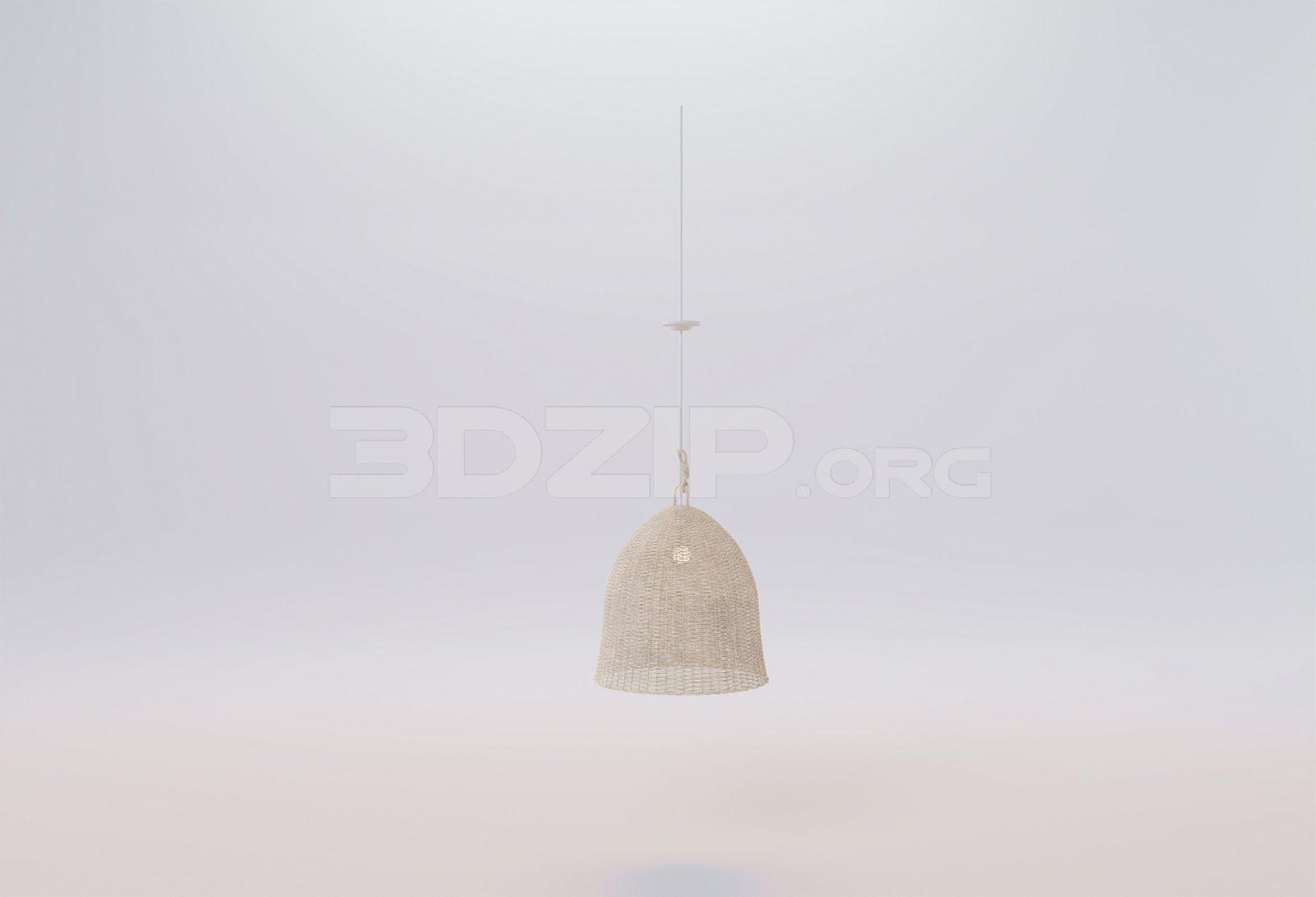 Ceiling Light