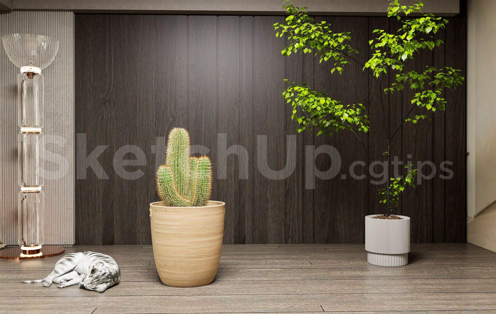 Plant