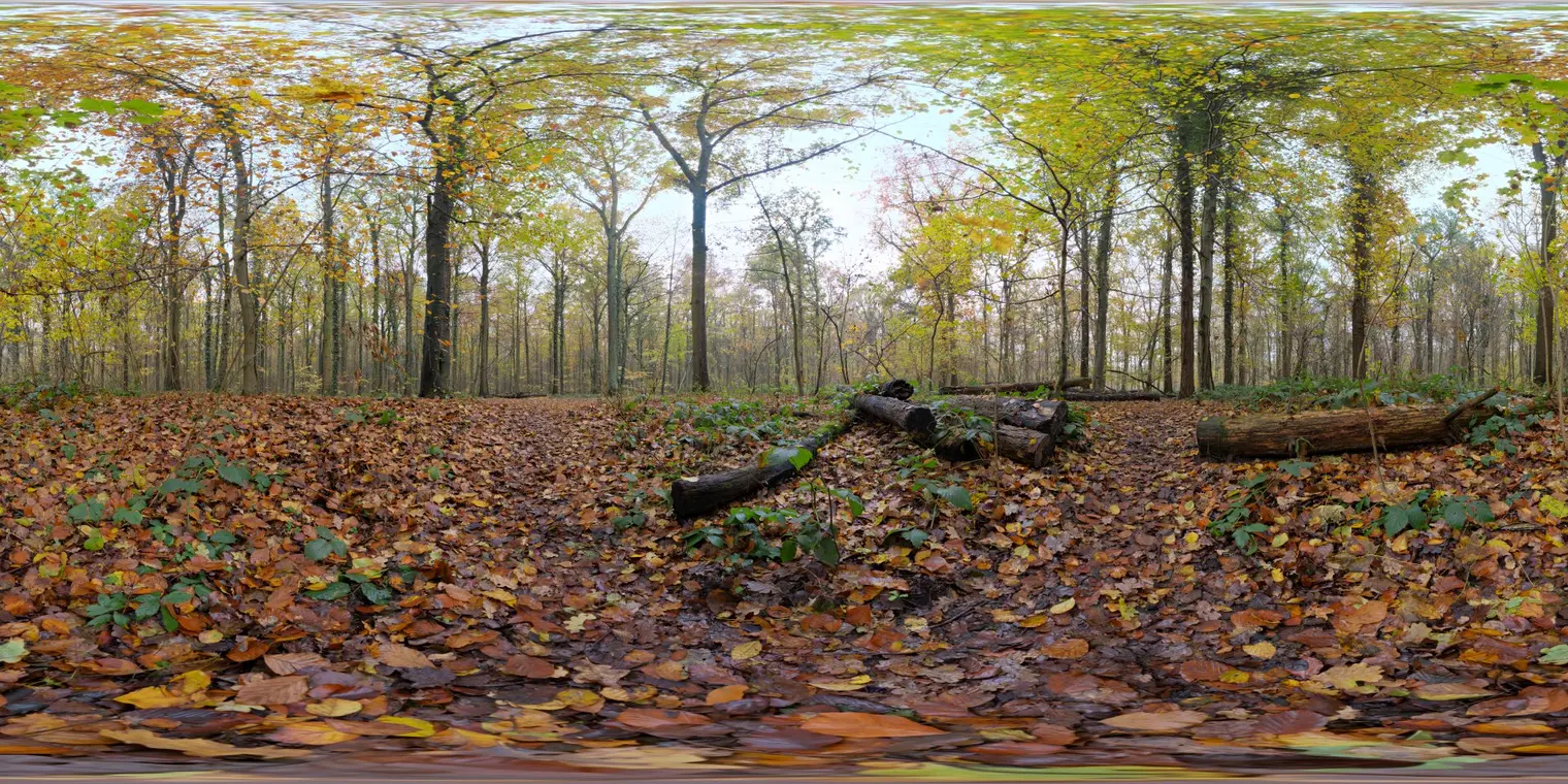 Autumn Ground — preview 1, by Greg Zaal (Poly Haven, CC0)