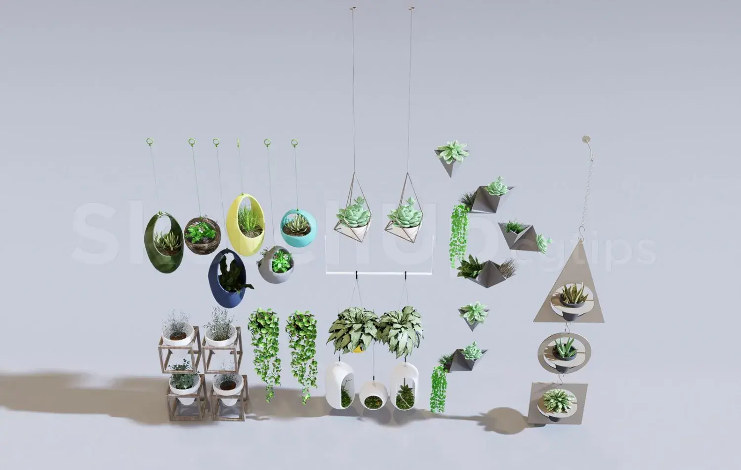 Plants