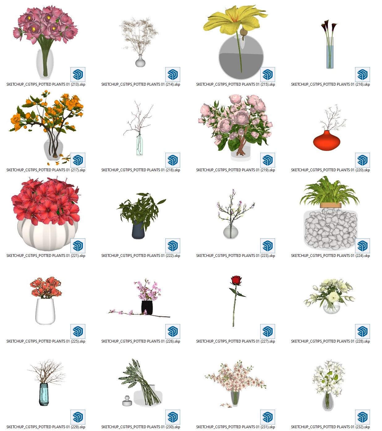 Potted Plants