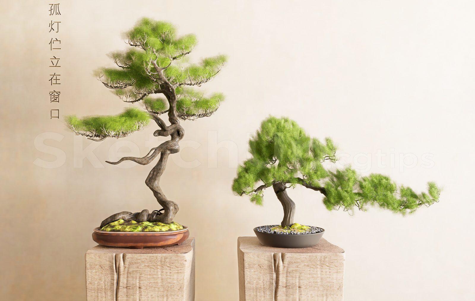 BonSai Tree