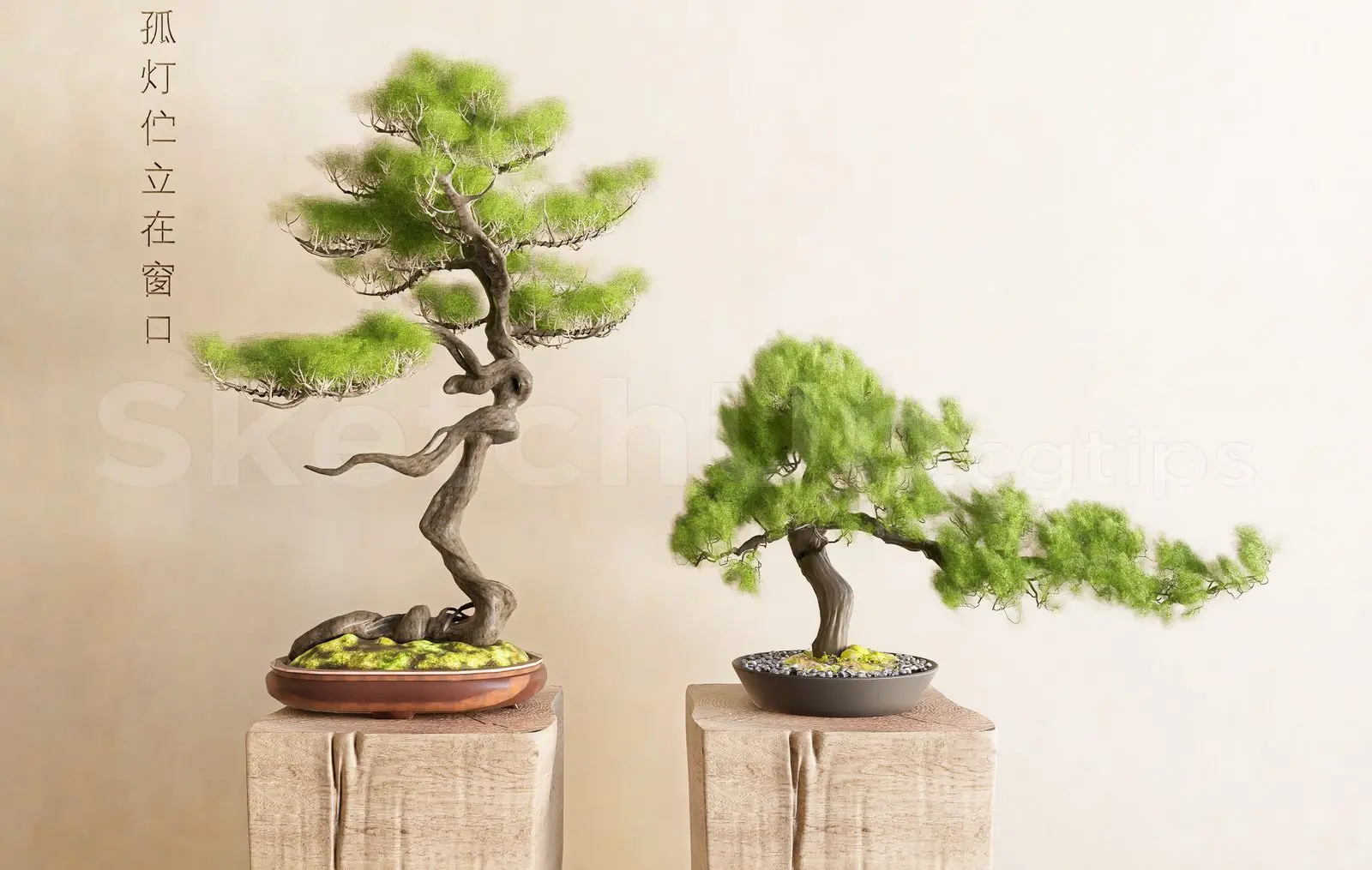BonSai Tree