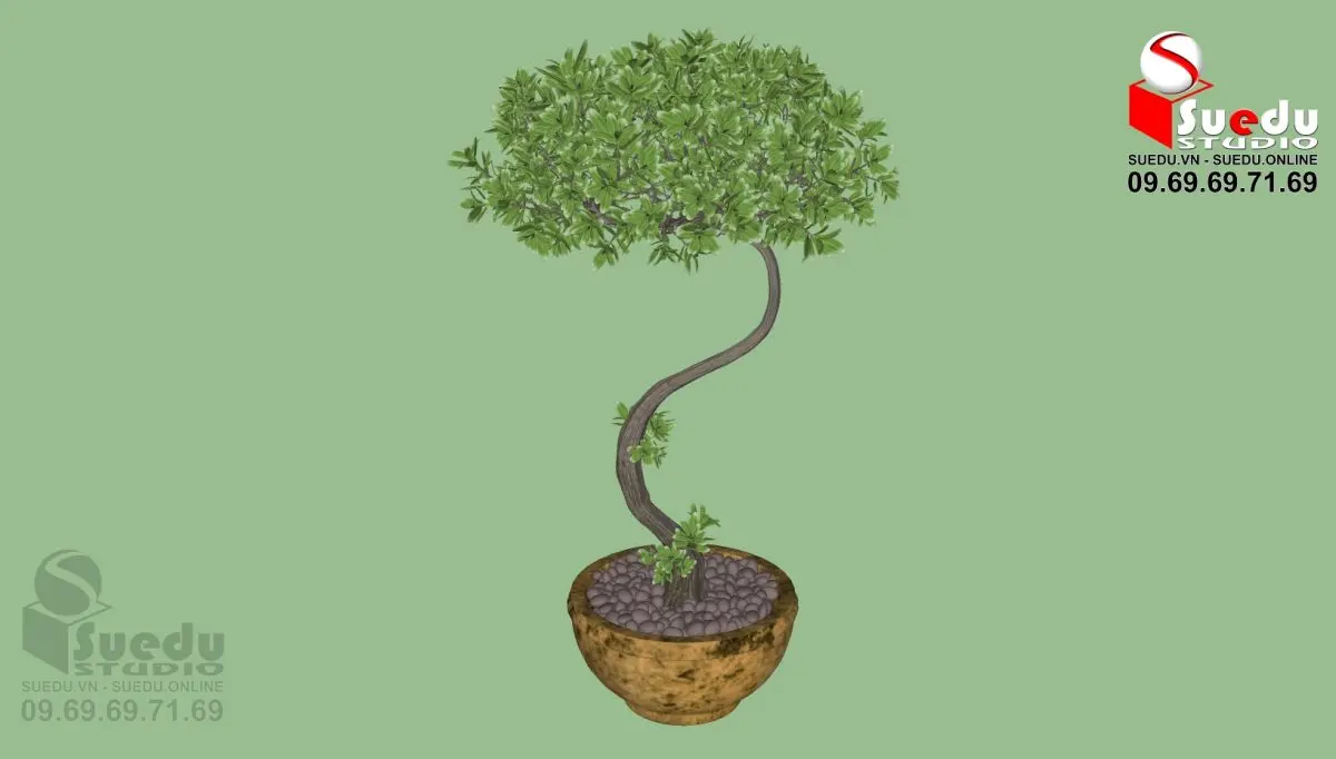 BonSai Tree — preview 1 (cgtips)