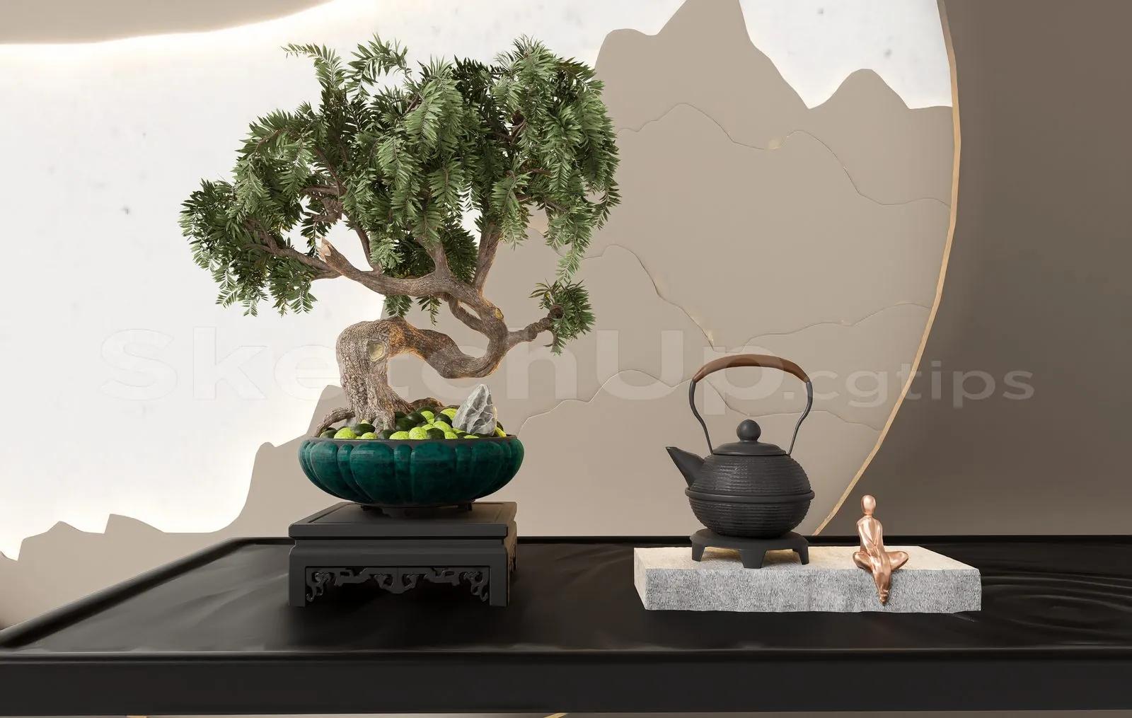 BonSai Tree