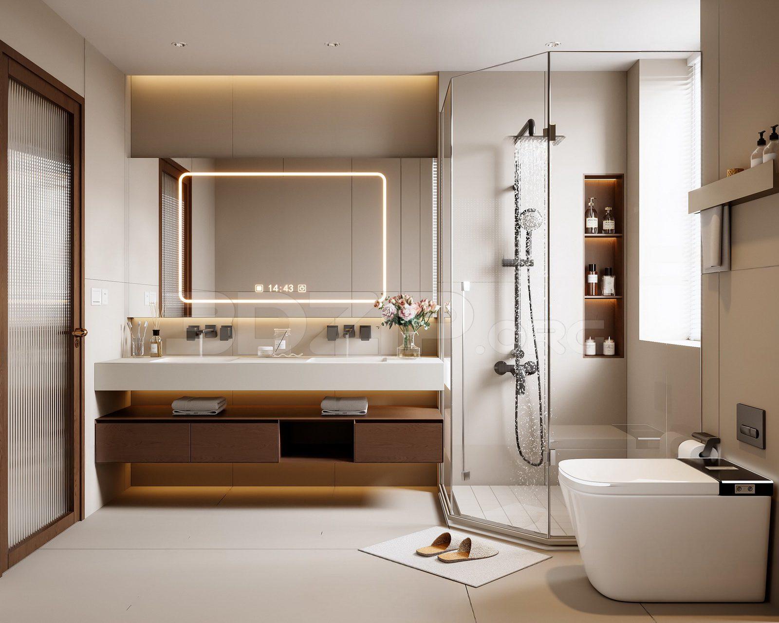 Bathroom Interior