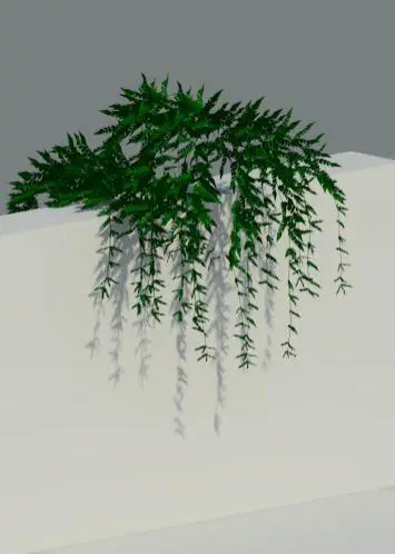 Plant 2