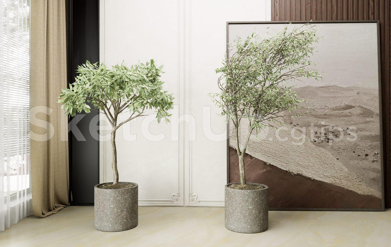 Plant — preview 1 (cgtips)