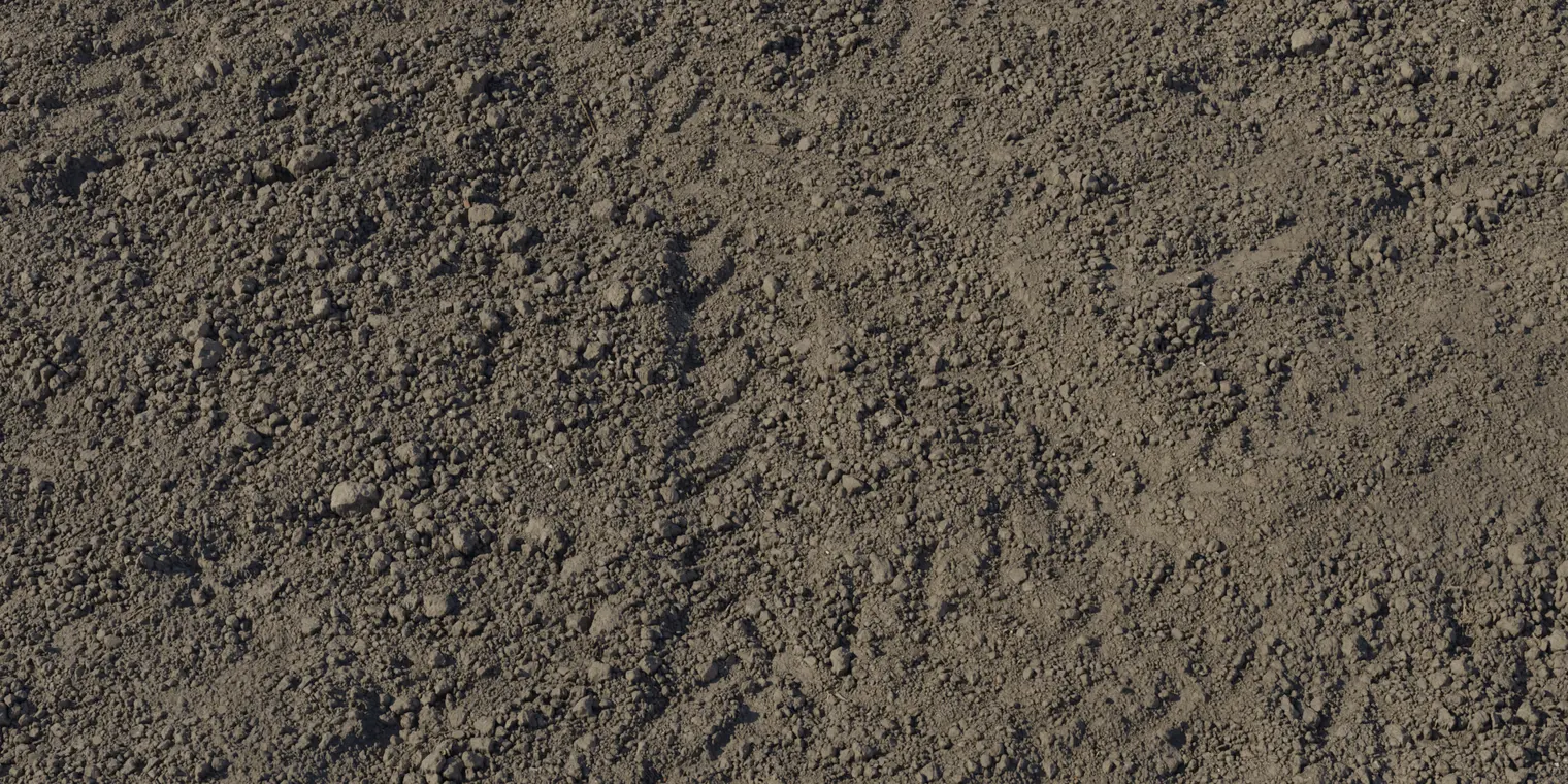 Dry Mud Field 1