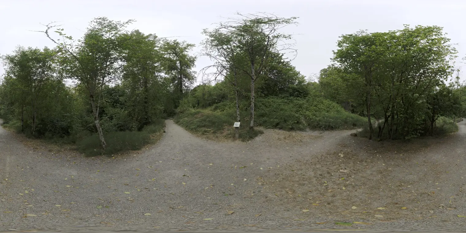Whipple Creek Regional Park 1 — preview 1, by Philip Modin (Poly Haven, CC0)