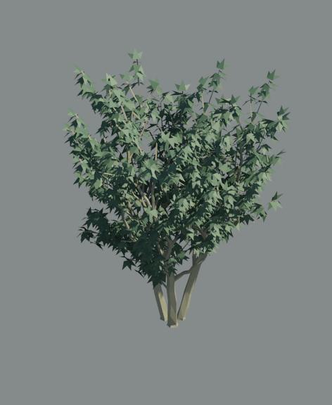 3d Tree A_tree49