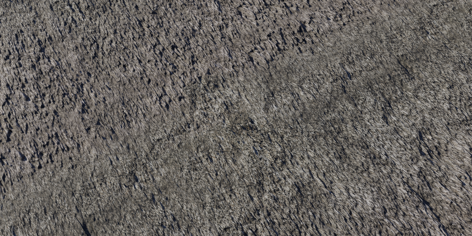 Riet 1
