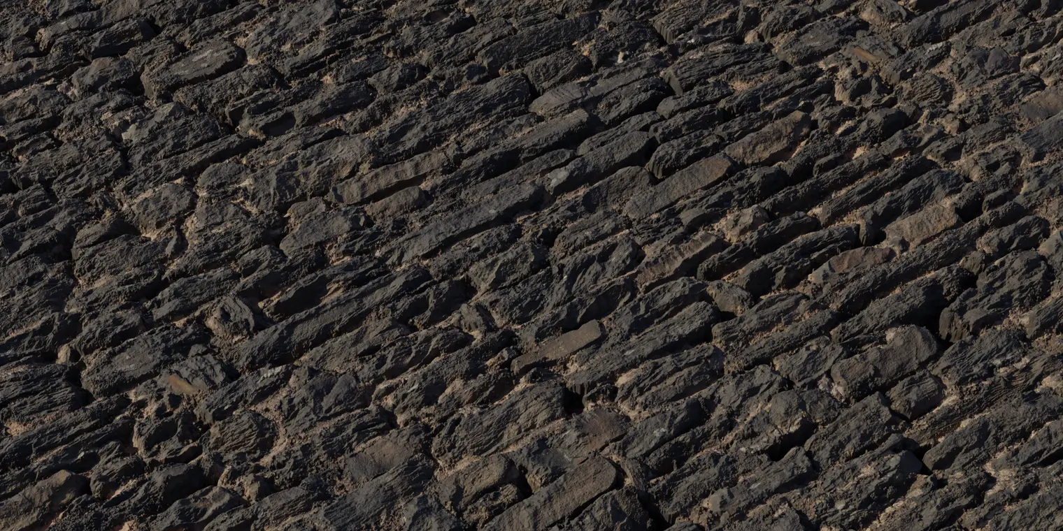 Rabdentse Ruins Wall