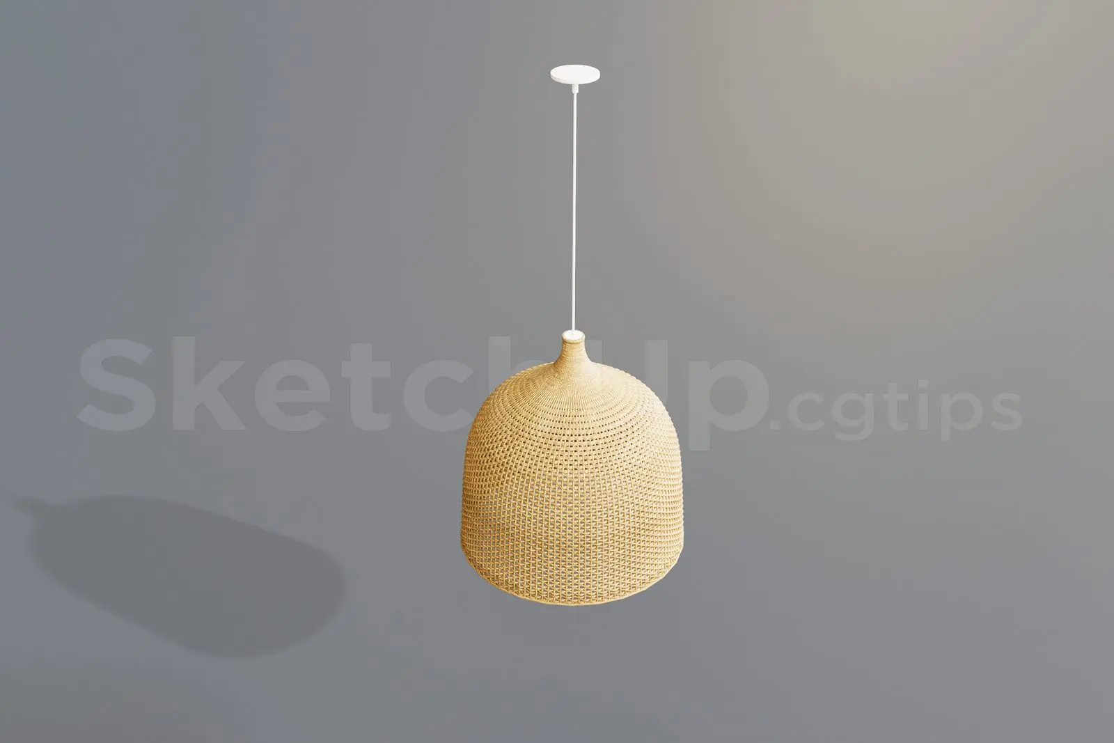 Ceiling Light