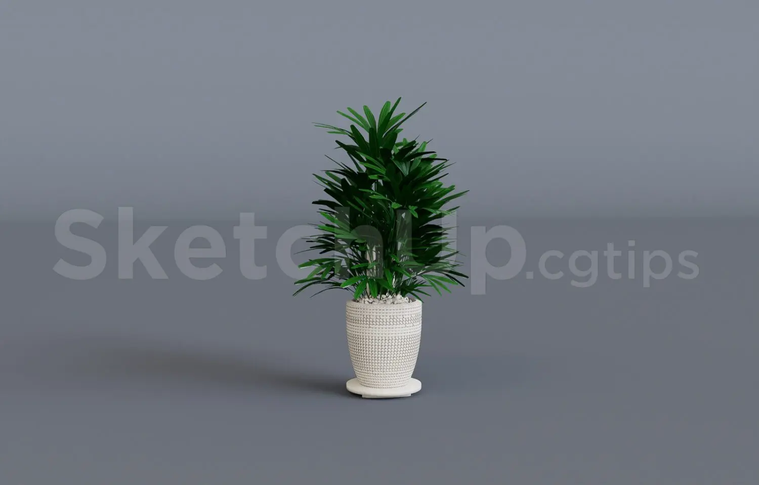 Plant — preview 1 (cgtips, CC0)