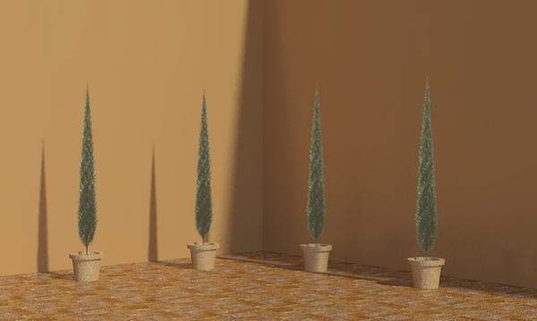 Potted Plant