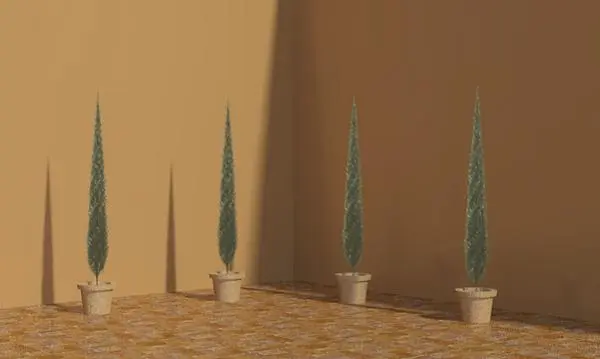 Potted Plant