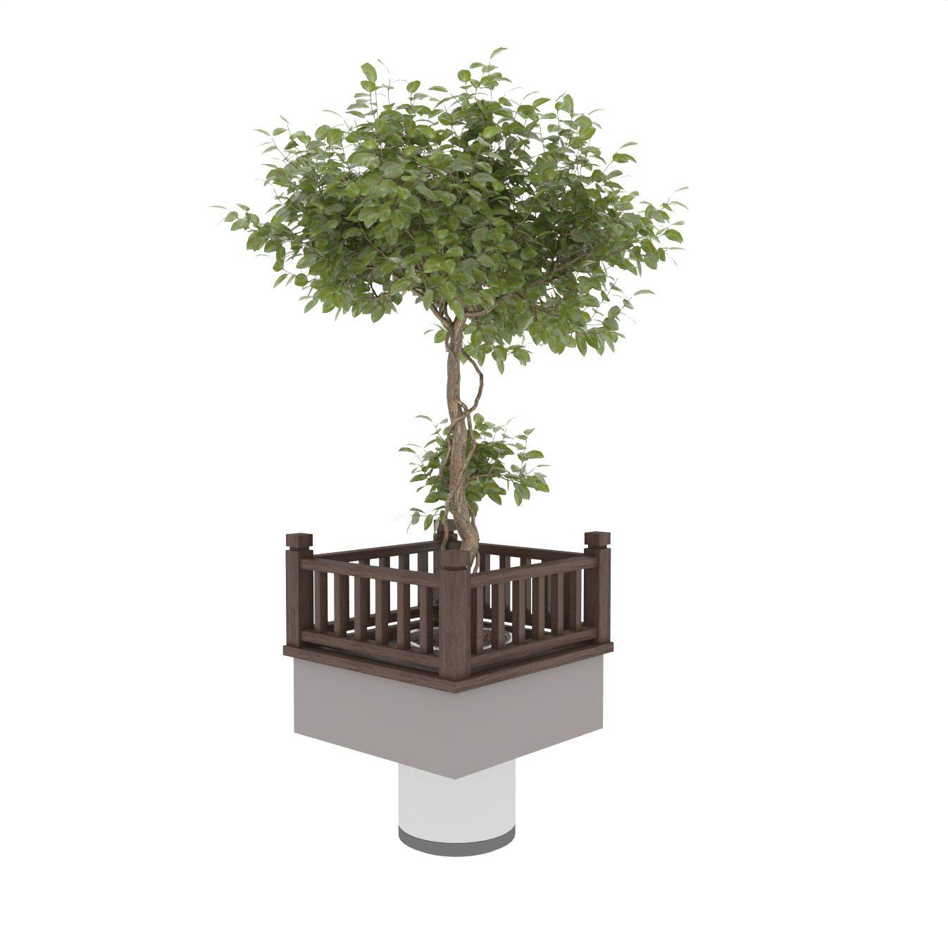 Plant
