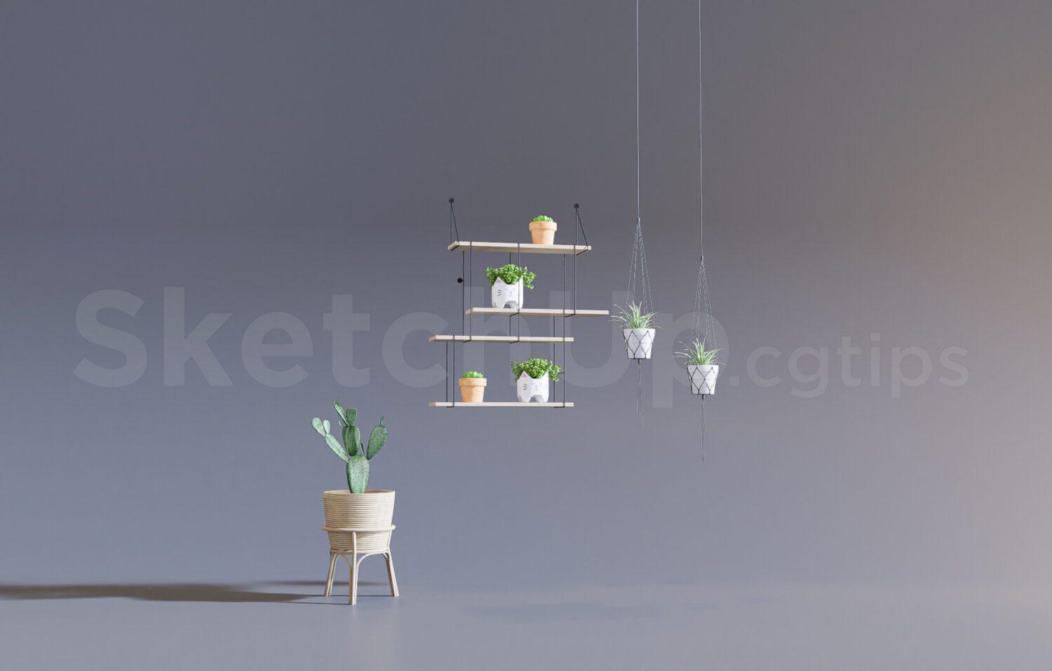 Plant