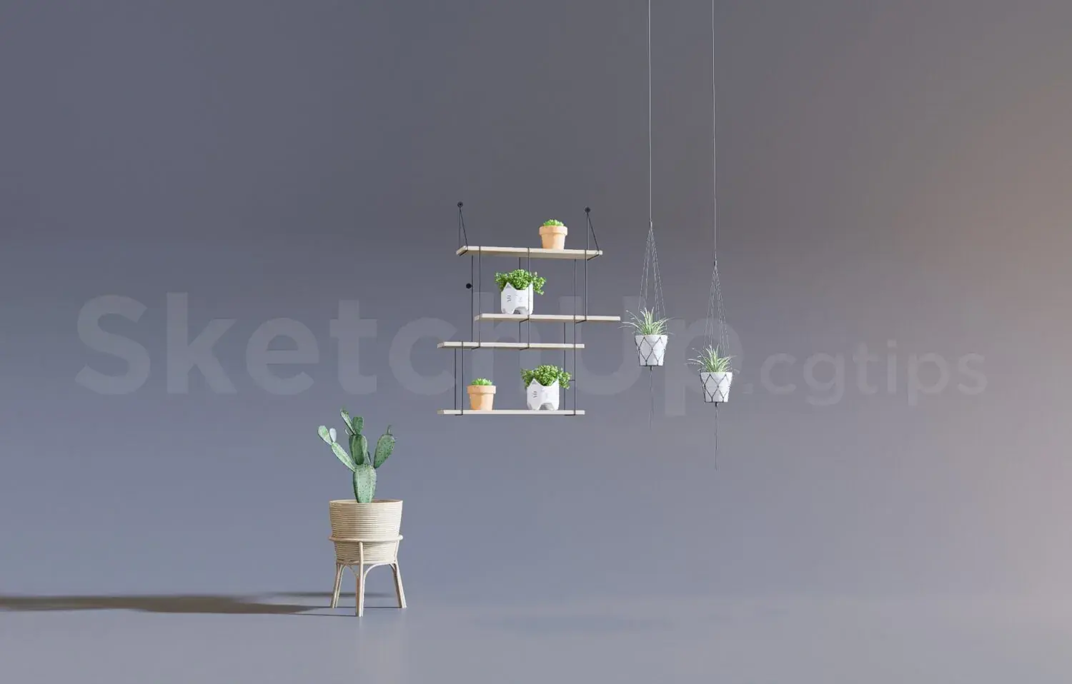 Plant
