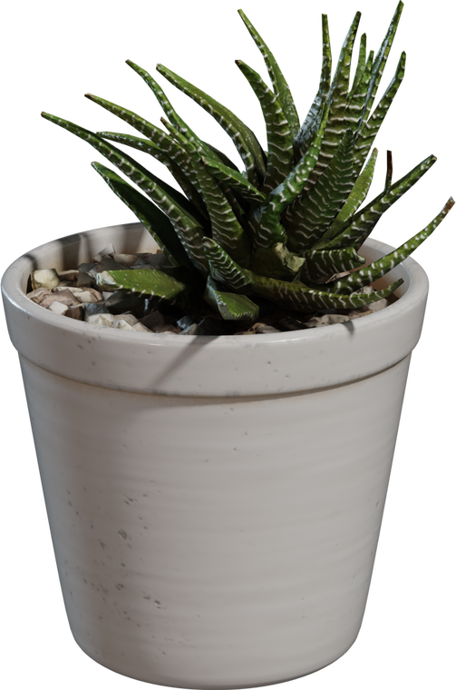 Potted Plant 4