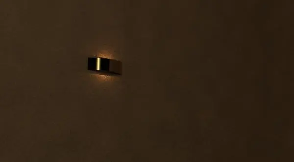 Wall Light