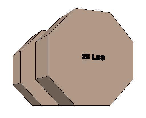 Dumbell-25 LBS
