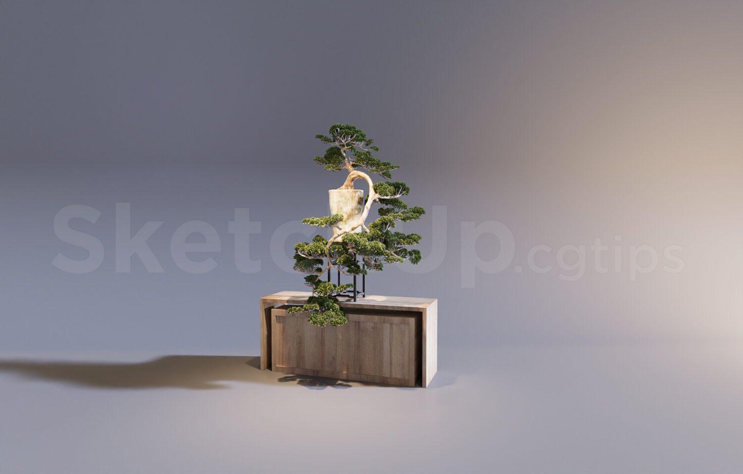 Decorative Shelves