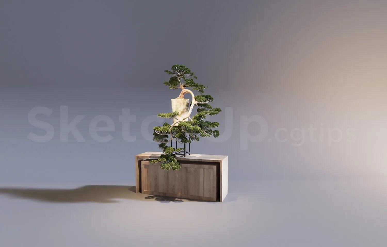 Decorative Shelves